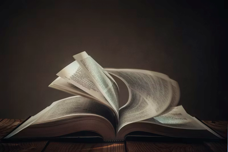 Author Reilly Thriller Book Guide: Best Reads and Order